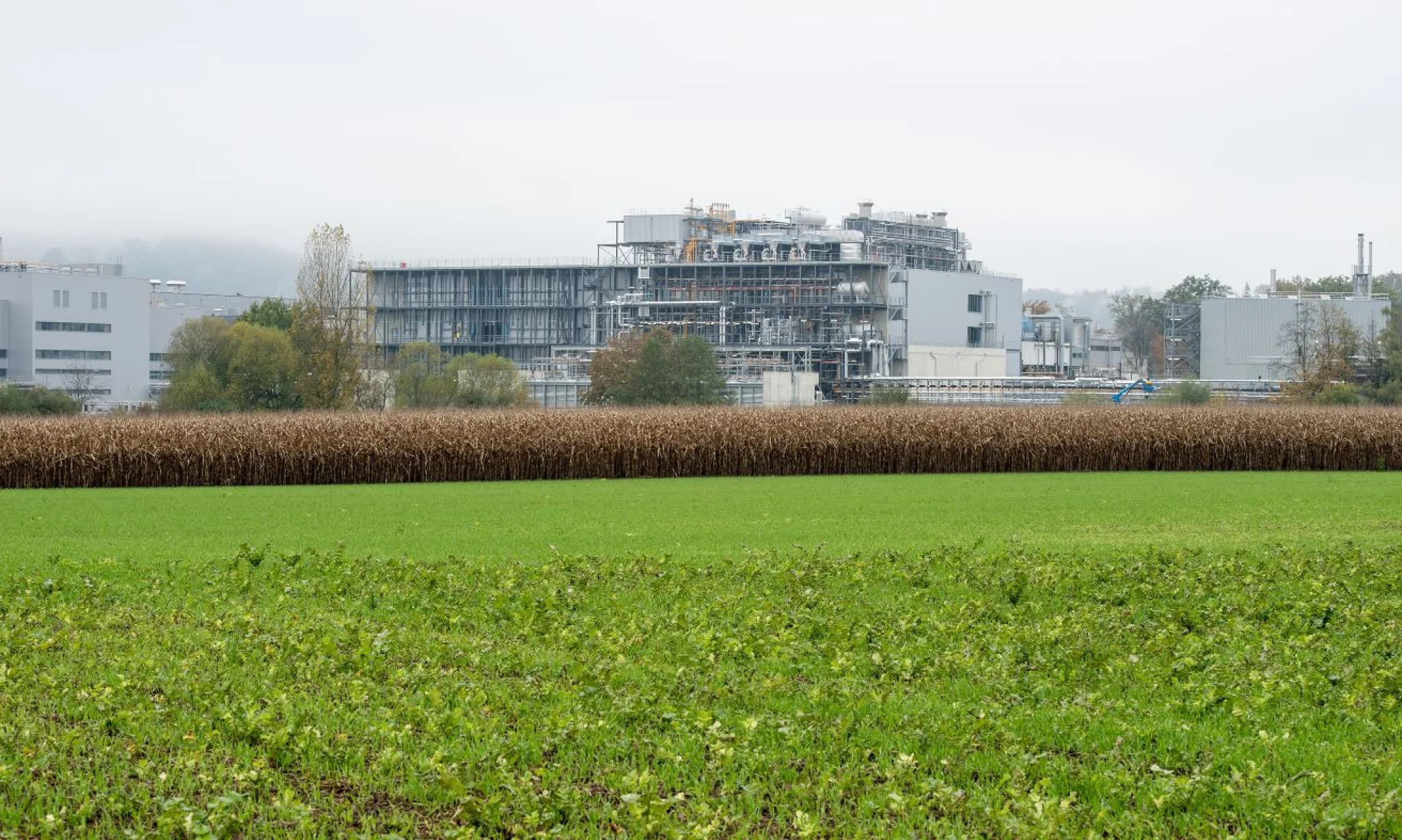 Bild vom Greenfield Projekt.