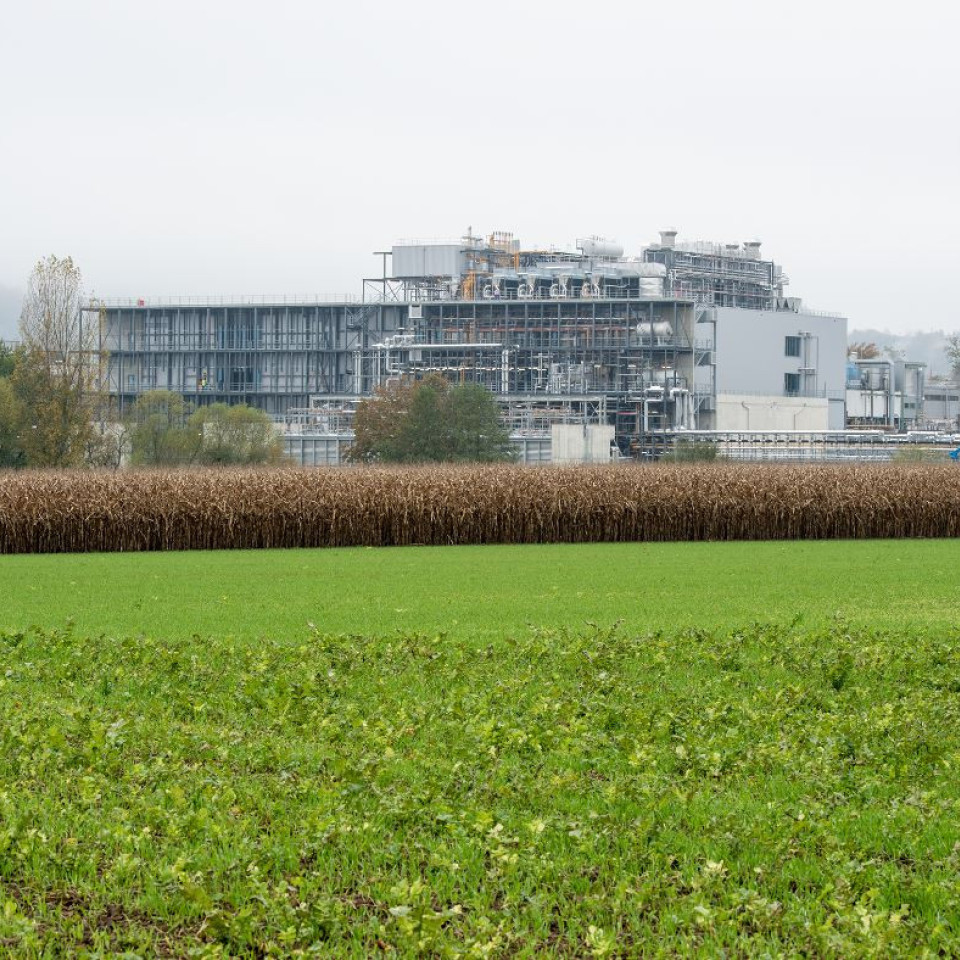 Bild vom Greenfield Projekt