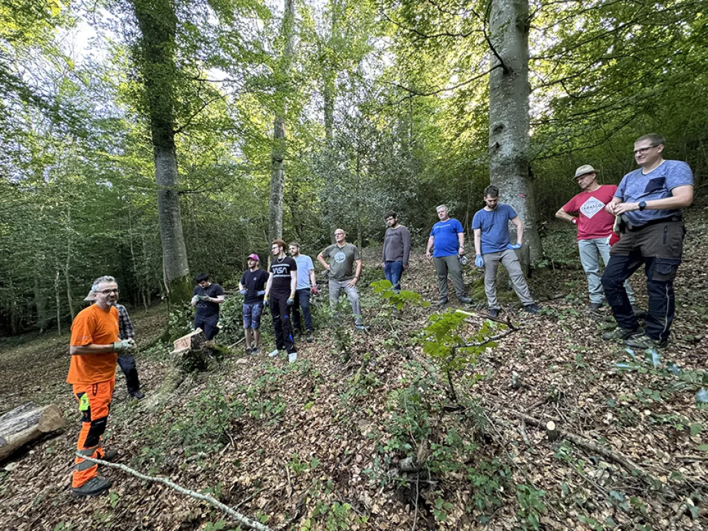 CTE-Mitarbeiter unterst&uuml;tzen bei der Waldpflege.